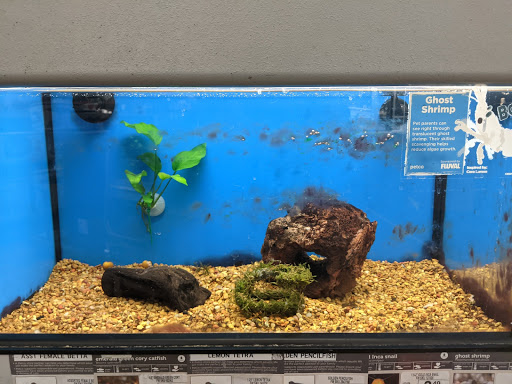 Pet Supply Store «Petco Animal Supplies», reviews and photos, 3215 Dredge Dr, Helena, MT 59602, USA
