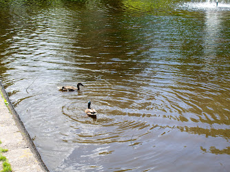 Fitzgerald Park Duck Pond