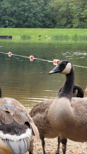 Nature Preserve «Wolf Rock Nature Preserve», reviews and photos, 251 Clover Mill Rd, Storrs, CT 06268, USA