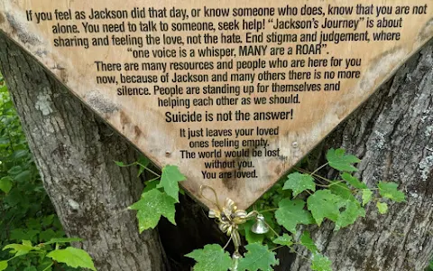Jackson's Tree image