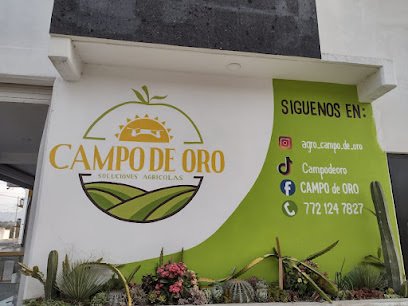 Agroquímicos 'CAMPO DE ORO'