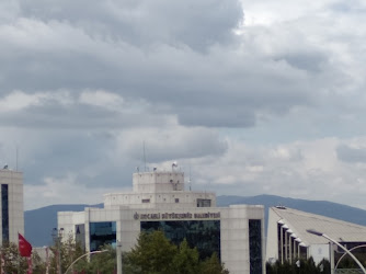 Kocaeli büyükşehir belediyesi