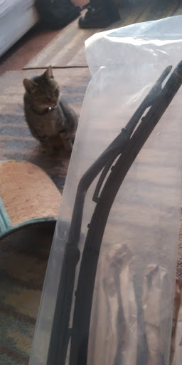 Toyota Dealer «McGeorge Toyota», reviews and photos, 9319 W Broad St, Henrico, VA 23294, USA