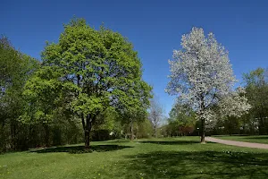 Drolshagen Park image