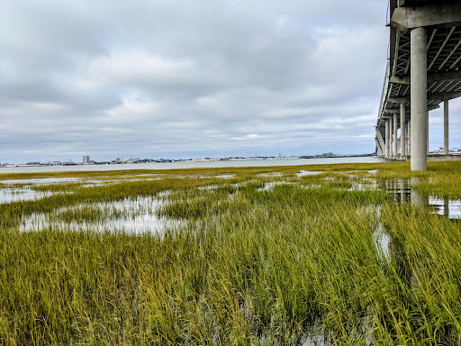Water Park «Memorial Waterfront Park», reviews and photos, 99 Harry M. Hallman Jr Blvd, Mt Pleasant, SC 29464, USA