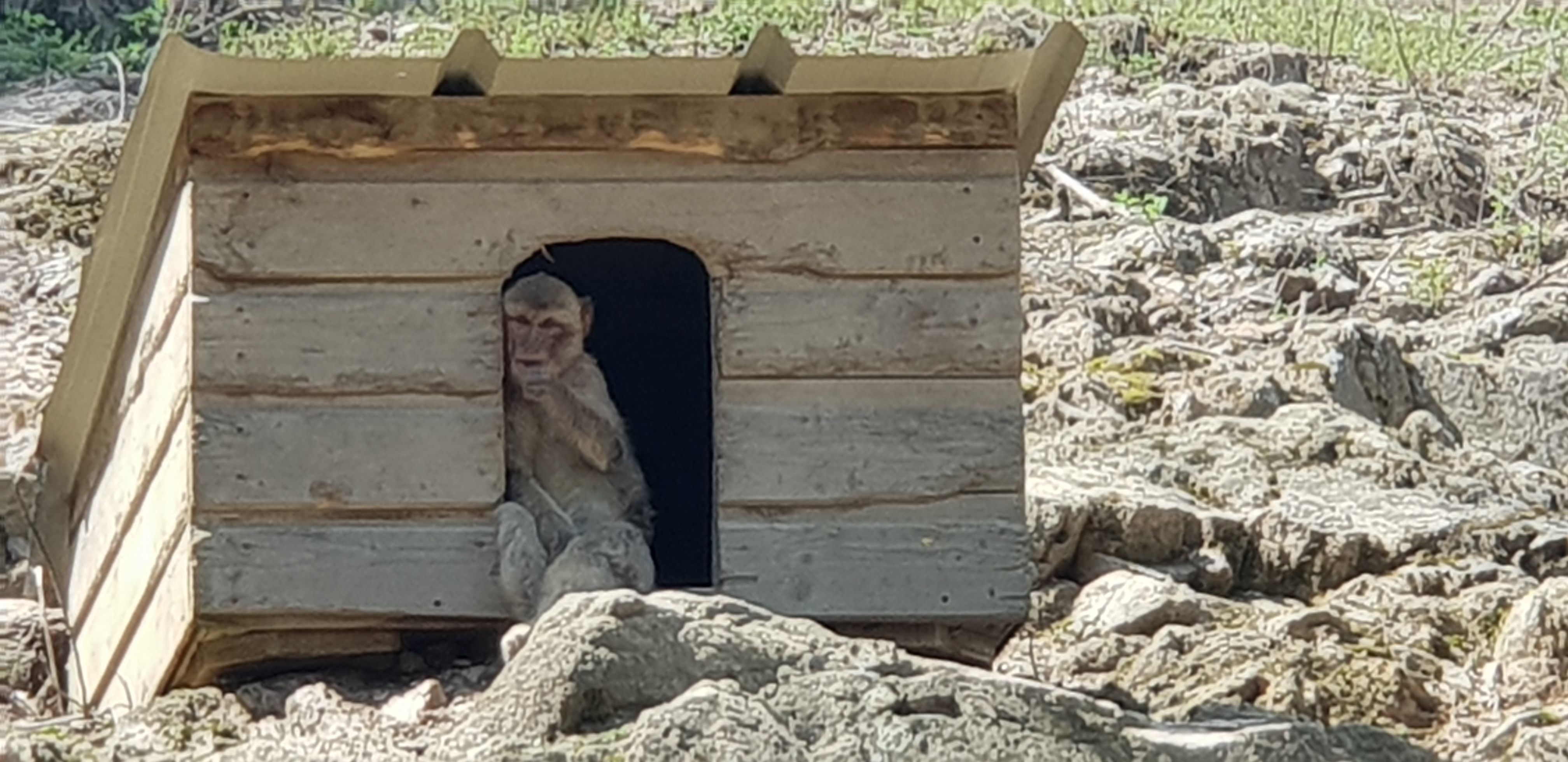 Photo n° 14 de l'avis de Lady.a fait le 24/05/2018 à 16:49