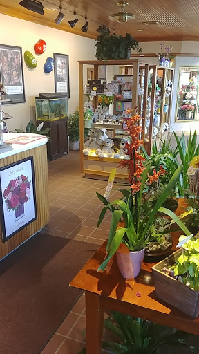 Florist «The Orchid Florist», reviews and photos, 1 Chase Ave, Waterbury, CT 06704, USA