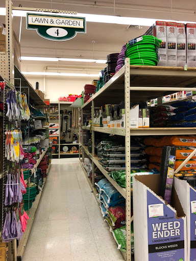 Hammond Lumber Company