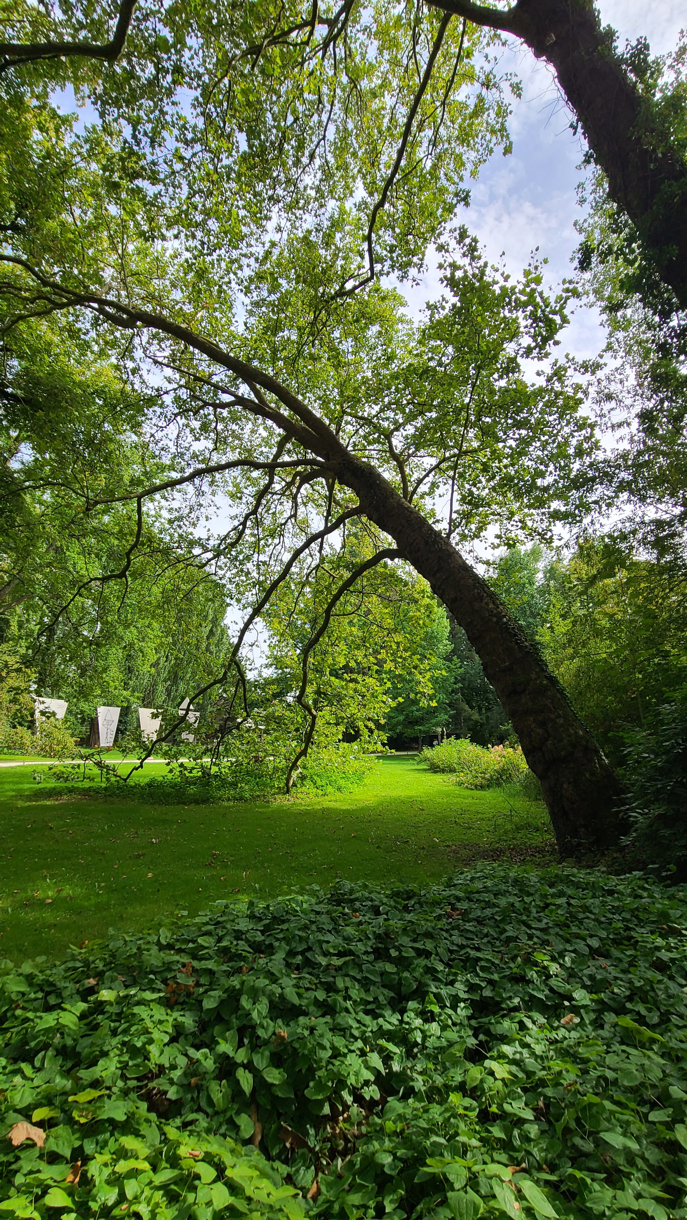 Photo n° 18 de l'avis de Josiane.l fait le 28/08/2023 à 20:08
