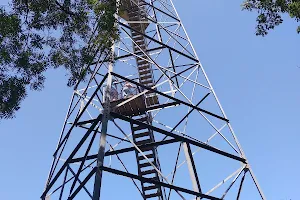 Elba Fire Tower image