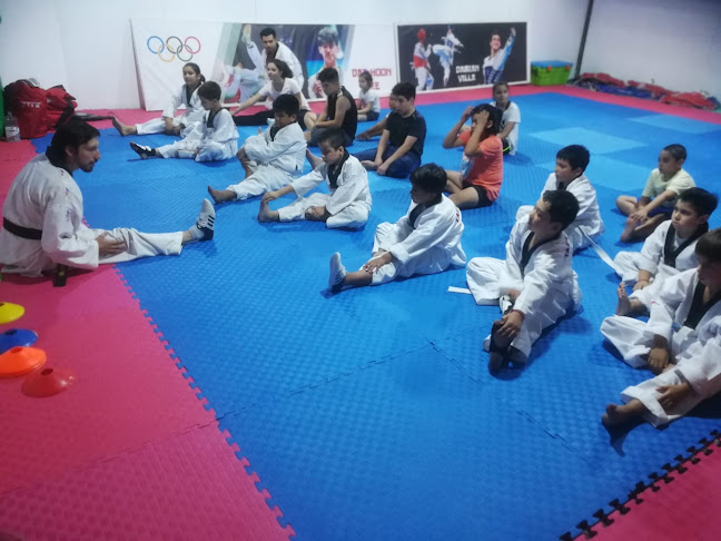 Asociación Taekwondo Panthehonor