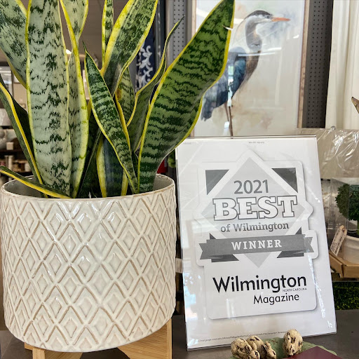 Fabric Store «Artee Fabrics & Home», reviews and photos, 7016 Market St B, Wilmington, NC 28411, USA