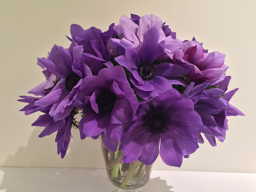 Florist «Greenwich Orchids», reviews and photos, 106 Mason St, Greenwich, CT 06830, USA