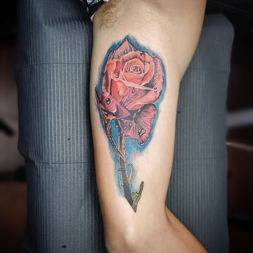 Explore mermaid tattoo ideas for females, creative tattoo ideas in Debary, available at Divine Line Tattoos