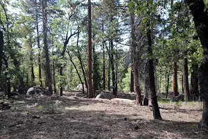 Pioneer Trail Campground image