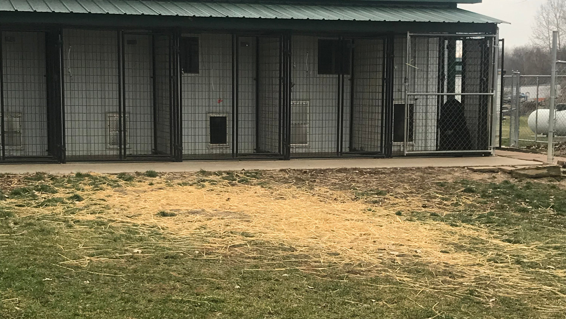 Leiter's Country Kennel
