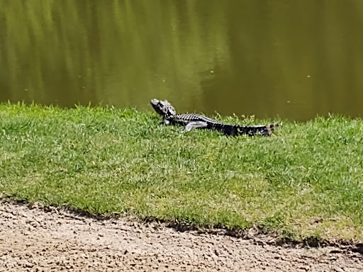 Golf Club «Blackmoor Golf Club», reviews and photos, 6100 Longwood Dr, Murrells Inlet, SC 29576, USA