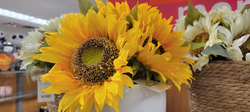 Department Store «T.J. Maxx», reviews and photos, 21 E Marketview Dr, Champaign, IL 61820, USA