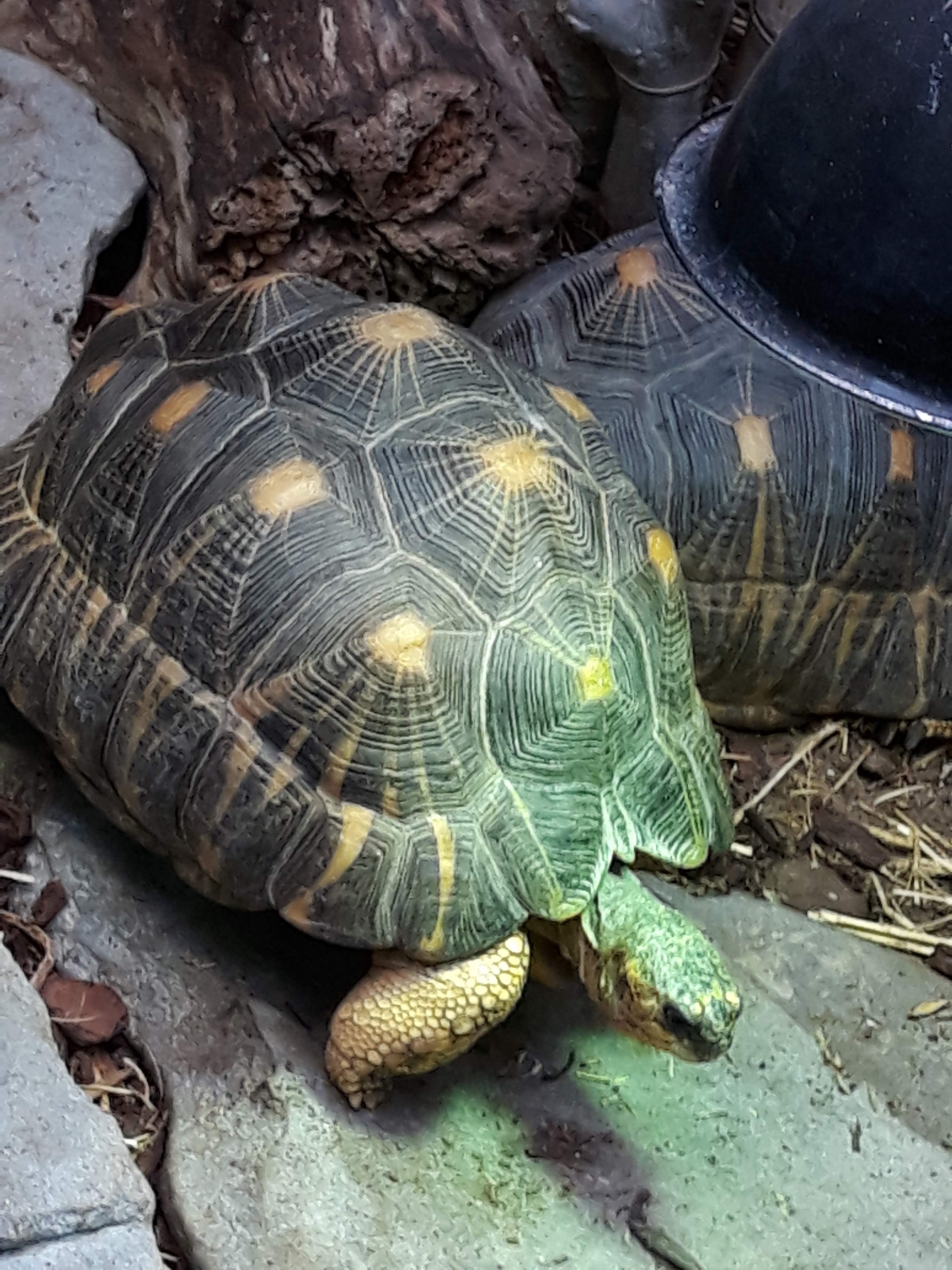 Photo n° 9 de l'avis de Ludo.a fait le 30/08/2021 à 17:15