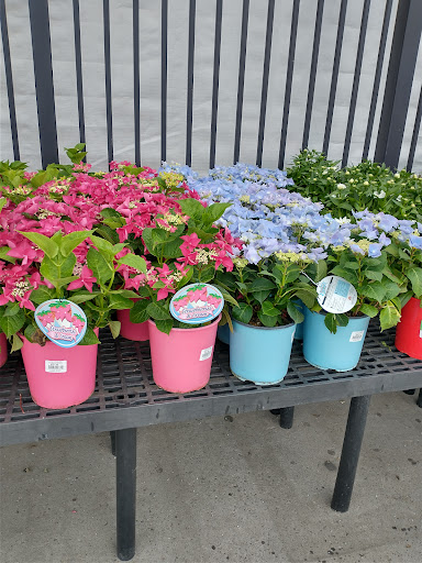 Shopping Mall «Town Square Mall», reviews and photos, 2405 Vestal Pkwy E, Vestal, NY 13850, USA