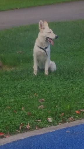 Park «Archmere Park», reviews and photos, 4117 Oak Park Ave, Cleveland, OH 44109, USA