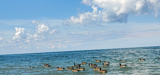 Park «Gratiot Park», reviews and photos, NY-5 & Point Dr W, Dunkirk, NY 14048, USA