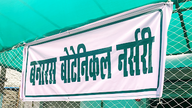 Banaras Botanical Nursery
