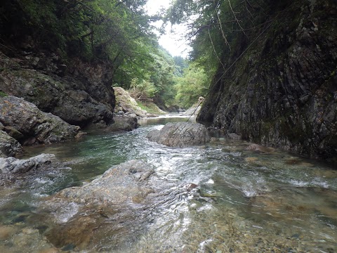 チャレンジランド 五泉