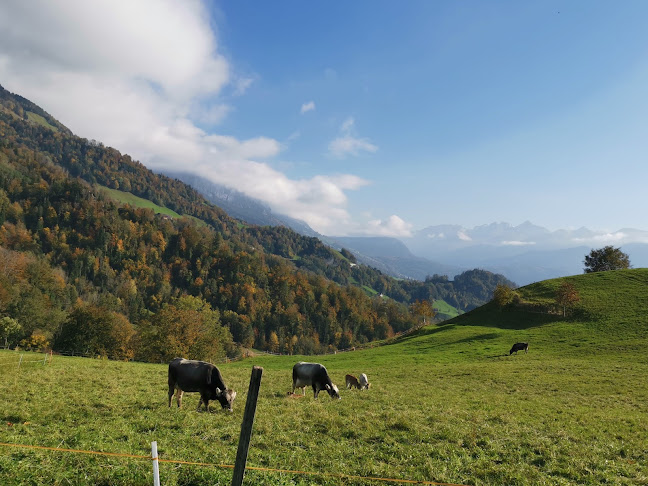 Bergblick Nomady - Schwyz