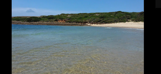 Plage Lamboucher shaty lmbwshyr