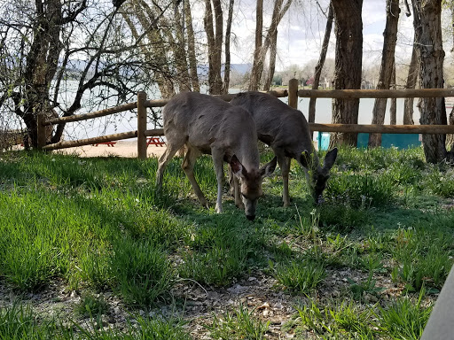 Country Club «Fort Collins Country Club», reviews and photos, 1920 Country Club Road, Fort Collins, CO 80524, USA