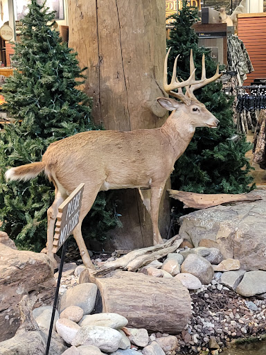 Sporting Goods Store «Bass Pro Shops», reviews and photos, 2501 Bass Pro Dr, Grapevine, TX 76051, USA