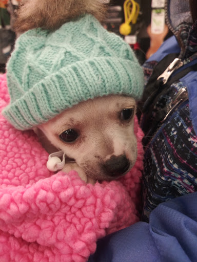 Pet Supply Store «Petco Animal Supplies», reviews and photos, 1660 Orchard Gateway Blvd, North Aurora, IL 60542, USA