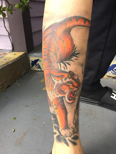 Explore spider web tattoo ideas, creative tattoo ideas in Saint Augustine, available at Ms. Deborahs Fountain of Youth Tattoo & Body Piercing