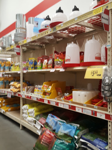 Home Improvement Store «Tractor Supply Co.», reviews and photos, 8420 S 228th St, Kent, WA 98031, USA