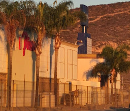 Macroplaza del Mar photo