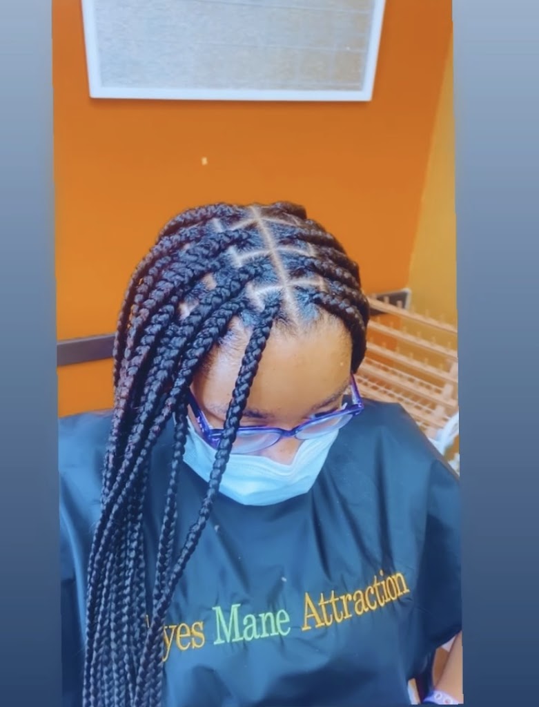 Faye's Mane Attraction 20748