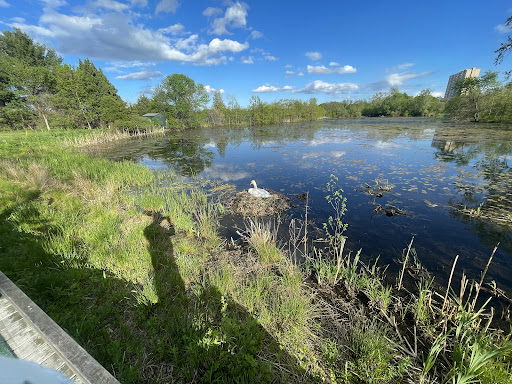 Golf Course «Fresh Pond Golf Course», reviews and photos, 691 Huron Ave, Cambridge, MA 02138, USA