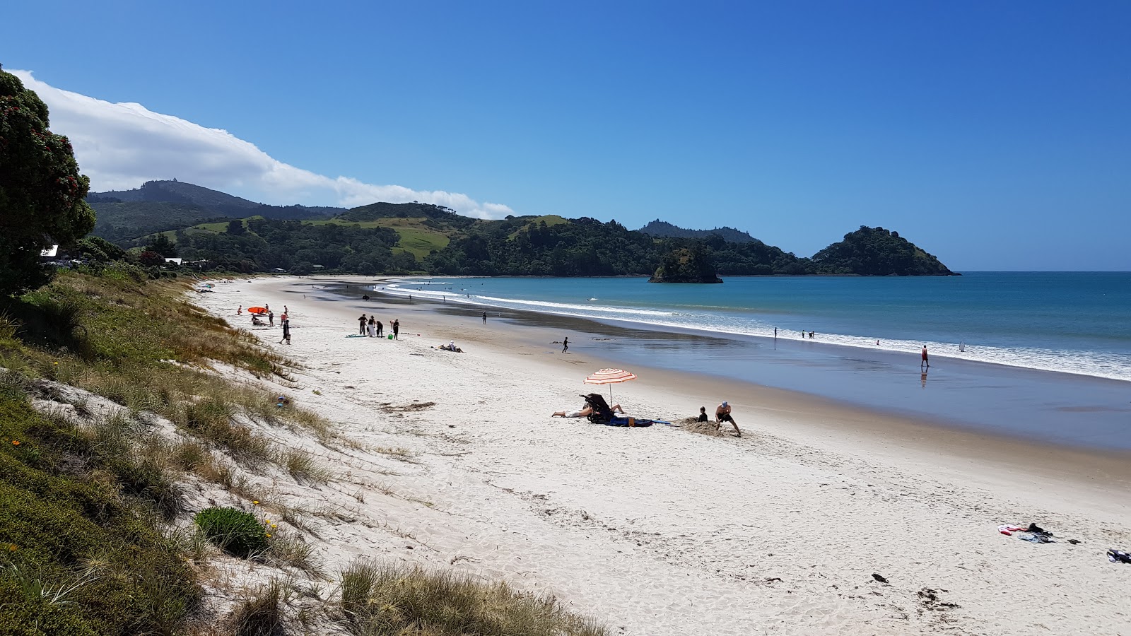 Zdjęcie Whangapoua Beach z proste i długie