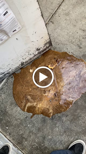 Butcher Shop «Naughty Pig Butcher Shop & Encased Meats», reviews and photos, 25359 Madison Ave, Murrieta, CA 92562, USA