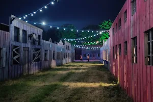 Wild Roots festival image