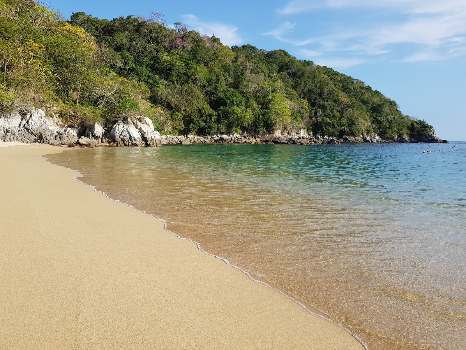 Foto de Organo beach con brillante arena fina superficie