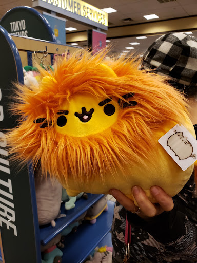 Book Store «Barnes & Noble», reviews and photos, 235 Union St, Waterbury, CT 06706, USA