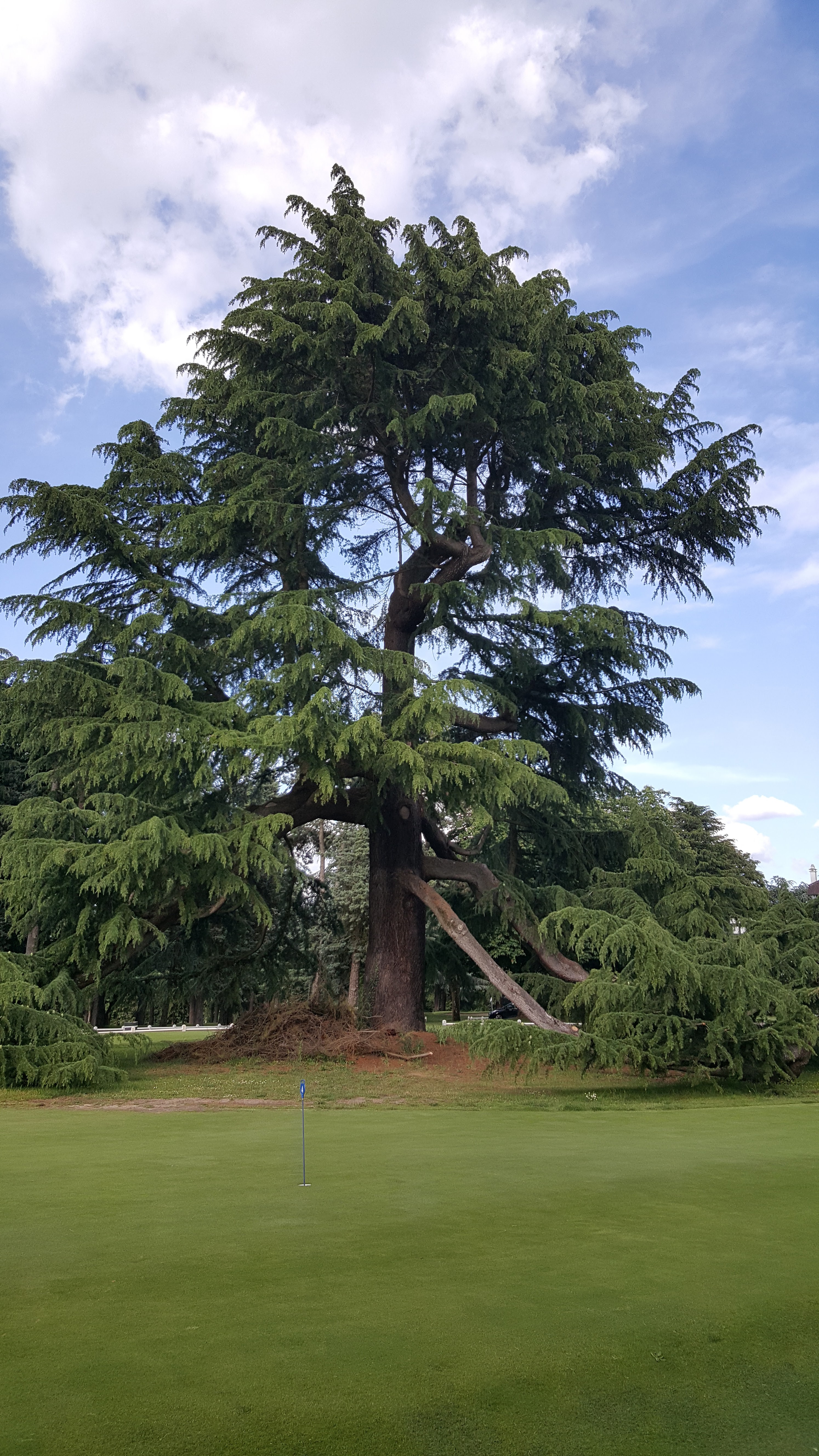 Photo n° 1 de l'avis de Werner.e fait le 06/06/2019 à 22:26