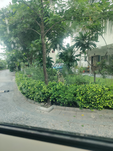 Google Maps image 25