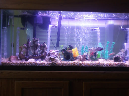 Pet Supply Store «Pet Supplies Plus», reviews and photos, 2823 Midway Rd SE, Bolivia, NC 28422, USA