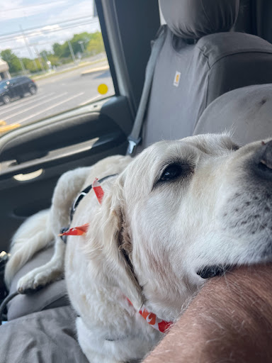 Pet Supply Store «EarthWise Pet Supply & Grooming», reviews and photos, 245 Fries Mill Rd, Blackwood, NJ 08012, USA