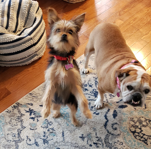 1329 W Central Ave, Davidsonville, MD 21035, USA