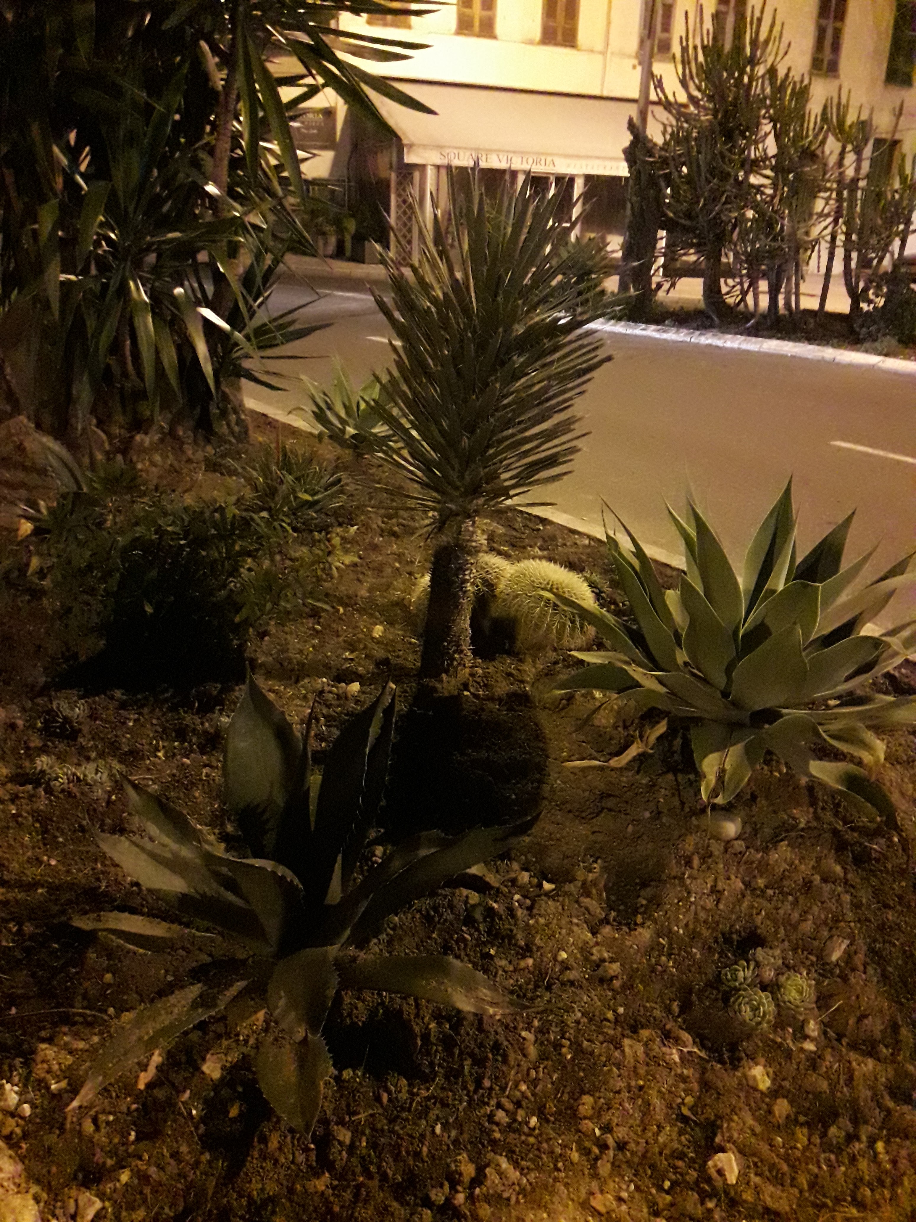 Photo n° 12 de l'avis de Stefe. fait le 25/02/2018 à 00:05