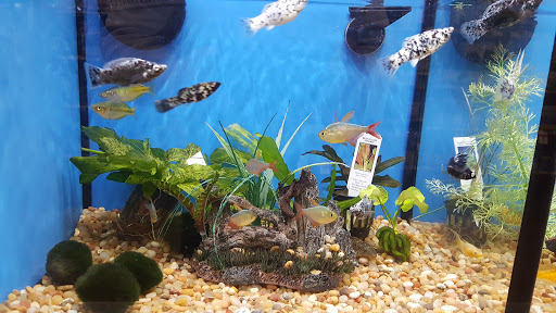 Pet Supply Store «Pet Supplies Plus», reviews and photos, 1810 Declaration Dr, Independence, KY 41051, USA